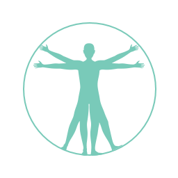 An icon version of the Vitruvian Man