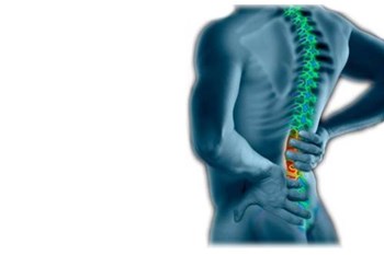 harvard-chiro.jpg