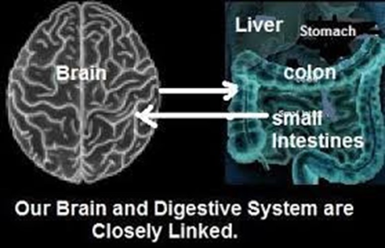 promoting-a-healthy-gut-brain-connection.jpg