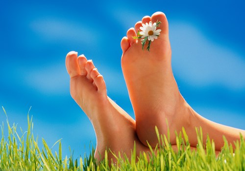 Feet in a field with a flower pod.jpg (1)