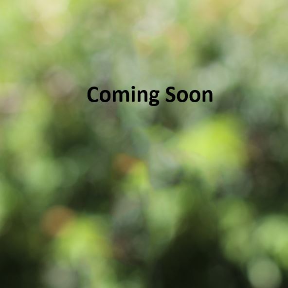Coming Soon.JPG