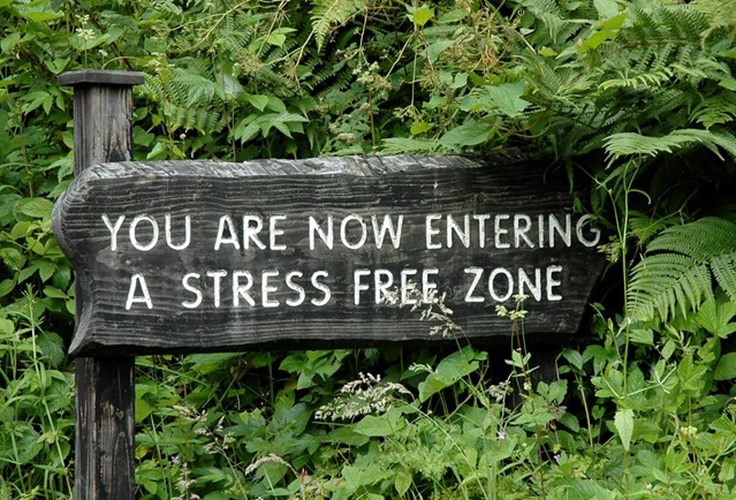 stress free zone.jpg