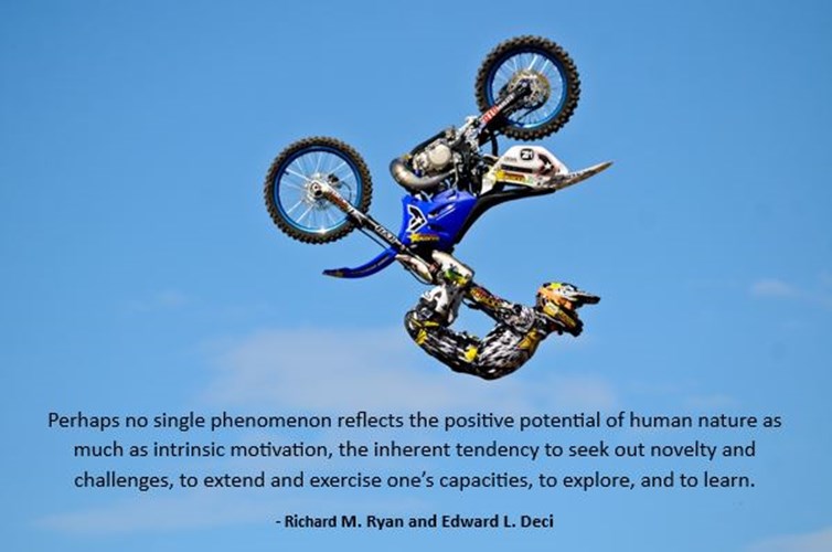 Bike.jpg (1)