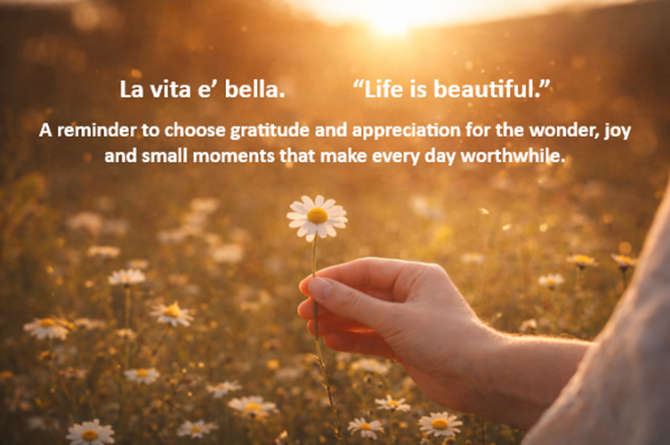 life is beautiful.png (2)